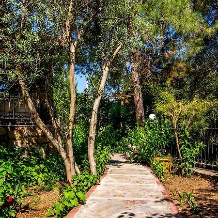 Palmetto Vip Bed & Breakfast Selimiye (Aegean)